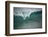 Asia, Australia Tasmania Friendly Beach Breakers-John Ford-Framed Photographic Print