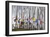 Asia, Bhutan, Chen La Pass, Prayer Flags. Prayer Flags on Chen La Pass-Ellen Goff-Framed Photographic Print