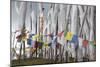 Asia, Bhutan, Chen La Pass, Prayer Flags. Prayer Flags on Chen La Pass-Ellen Goff-Mounted Photographic Print