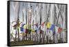Asia, Bhutan, Chen La Pass, Prayer Flags. Prayer Flags on Chen La Pass-Ellen Goff-Framed Stretched Canvas