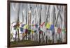 Asia, Bhutan, Chen La Pass, Prayer Flags. Prayer Flags on Chen La Pass-Ellen Goff-Framed Photographic Print