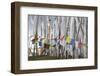 Asia, Bhutan, Chen La Pass, Prayer Flags. Prayer Flags on Chen La Pass-Ellen Goff-Framed Photographic Print