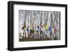 Asia, Bhutan, Chen La Pass, Prayer Flags. Prayer Flags on Chen La Pass-Ellen Goff-Framed Photographic Print