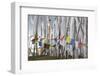 Asia, Bhutan, Chen La Pass, Prayer Flags. Prayer Flags on Chen La Pass-Ellen Goff-Framed Photographic Print