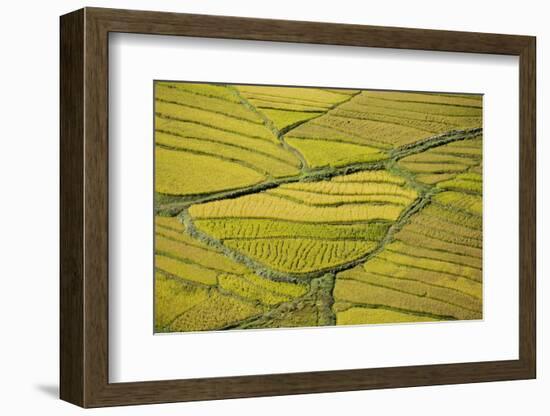 Asia, Bhutan, Paro, Rice Fields-Ellen Goff-Framed Photographic Print