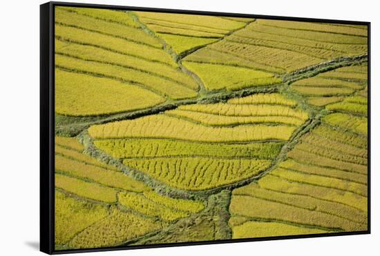 Asia, Bhutan, Paro, Rice Fields-Ellen Goff-Framed Stretched Canvas