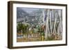 Asia, Bhutan, Prayer Flags Overlooking Thimphu-Ellen Goff-Framed Photographic Print