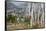 Asia, Bhutan, Prayer Flags Overlooking Thimphu-Ellen Goff-Framed Stretched Canvas