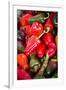 Asia, Bhutan, Thimphu, Chili Peppers for Sale in Market-Ellen Goff-Framed Photographic Print