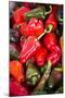 Asia, Bhutan, Thimphu, Chili Peppers for Sale in Market-Ellen Goff-Mounted Photographic Print