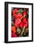 Asia, Bhutan, Thimphu, Chili Peppers for Sale in Market-Ellen Goff-Framed Photographic Print