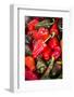 Asia, Bhutan, Thimphu, Chili Peppers for Sale in Market-Ellen Goff-Framed Photographic Print
