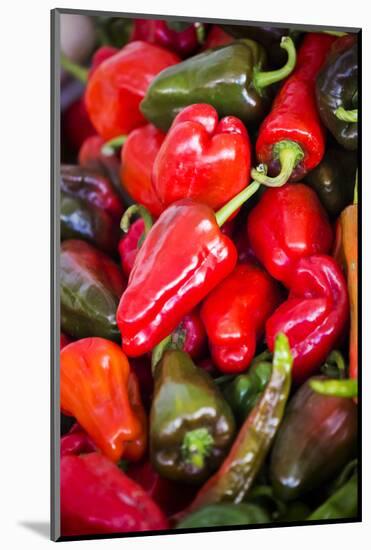 Asia, Bhutan, Thimphu, Chili Peppers for Sale in Market-Ellen Goff-Mounted Photographic Print