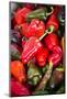 Asia, Bhutan, Thimphu, Chili Peppers for Sale in Market-Ellen Goff-Mounted Photographic Print