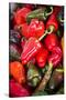 Asia, Bhutan, Thimphu, Chili Peppers for Sale in Market-Ellen Goff-Stretched Canvas
