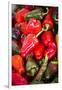 Asia, Bhutan, Thimphu, Chili Peppers for Sale in Market-Ellen Goff-Framed Premium Photographic Print