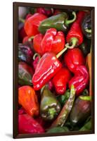 Asia, Bhutan, Thimphu, Chili Peppers for Sale in Market-Ellen Goff-Framed Premium Photographic Print