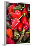 Asia, Bhutan, Thimphu, Chili Peppers for Sale in Market-Ellen Goff-Framed Premium Photographic Print