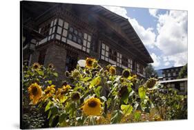 Asia, Bhutan, Thimpu. Sunflowers and Bhutanese Architecture-Kymri Wilt-Stretched Canvas