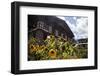 Asia, Bhutan, Thimpu. Sunflowers and Bhutanese Architecture-Kymri Wilt-Framed Photographic Print