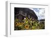 Asia, Bhutan, Thimpu. Sunflowers and Bhutanese Architecture-Kymri Wilt-Framed Photographic Print