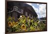 Asia, Bhutan, Thimpu. Sunflowers and Bhutanese Architecture-Kymri Wilt-Framed Photographic Print