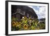 Asia, Bhutan, Thimpu. Sunflowers and Bhutanese Architecture-Kymri Wilt-Framed Photographic Print