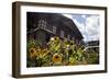 Asia, Bhutan, Thimpu. Sunflowers and Bhutanese Architecture-Kymri Wilt-Framed Photographic Print