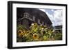 Asia, Bhutan, Thimpu. Sunflowers and Bhutanese Architecture-Kymri Wilt-Framed Photographic Print