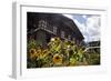 Asia, Bhutan, Thimpu. Sunflowers and Bhutanese Architecture-Kymri Wilt-Framed Photographic Print