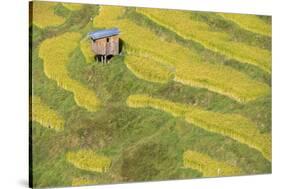 Asia, Bhutan, Trongsa Area. Rice Paddies-Ellen Goff-Stretched Canvas