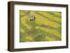 Asia, Bhutan, Trongsa Area. Rice Paddies-Ellen Goff-Framed Photographic Print