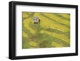 Asia, Bhutan, Trongsa Area. Rice Paddies-Ellen Goff-Framed Photographic Print