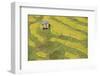 Asia, Bhutan, Trongsa Area. Rice Paddies-Ellen Goff-Framed Photographic Print