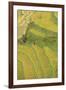 Asia, Bhutan, Trongsa Area. Rice Paddies-Ellen Goff-Framed Premium Photographic Print