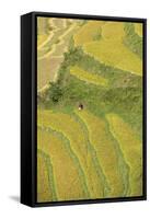 Asia, Bhutan, Trongsa Area. Rice Paddies-Ellen Goff-Framed Stretched Canvas