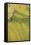 Asia, Bhutan, Trongsa Area. Rice Paddies-Ellen Goff-Framed Stretched Canvas