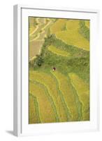 Asia, Bhutan, Trongsa Area. Rice Paddies-Ellen Goff-Framed Photographic Print