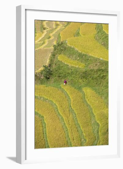 Asia, Bhutan, Trongsa Area. Rice Paddies-Ellen Goff-Framed Photographic Print
