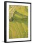 Asia, Bhutan, Trongsa Area. Rice Paddies-Ellen Goff-Framed Photographic Print