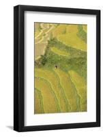 Asia, Bhutan, Trongsa Area. Rice Paddies-Ellen Goff-Framed Photographic Print