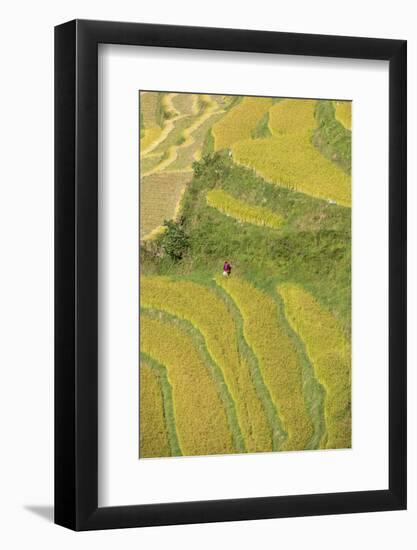 Asia, Bhutan, Trongsa Area. Rice Paddies-Ellen Goff-Framed Photographic Print