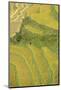 Asia, Bhutan, Trongsa Area. Rice Paddies-Ellen Goff-Mounted Photographic Print