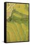 Asia, Bhutan, Trongsa Area. Rice Paddies-Ellen Goff-Framed Stretched Canvas