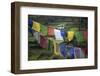 Asia, Bhutan, Trongsa. Landscape and Prayer Flags Scene of Bhutan-Kymri Wilt-Framed Photographic Print