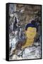 Asia, Bhutan, Trongsa. Rock Painting Scene from 'Travelers and Magicians' Movie-Kymri Wilt-Framed Stretched Canvas