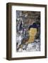 Asia, Bhutan, Trongsa. Rock Painting Scene from 'Travelers and Magicians' Movie-Kymri Wilt-Framed Photographic Print