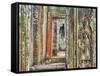 Asia, Cambodia, Angkor Watt, Siem Reap-Terry Eggers-Framed Stretched Canvas