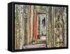 Asia, Cambodia, Angkor Watt, Siem Reap-Terry Eggers-Framed Stretched Canvas