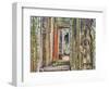 Asia, Cambodia, Angkor Watt, Siem Reap-Terry Eggers-Framed Photographic Print